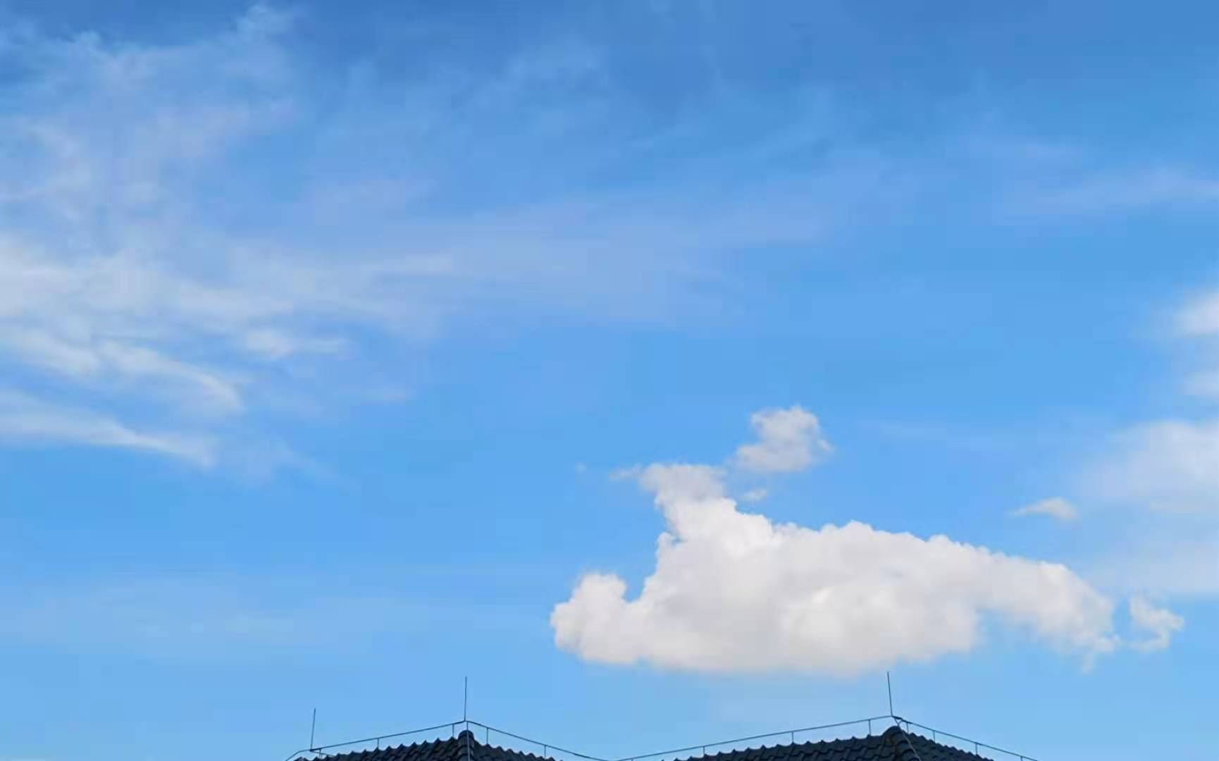 邱丽萍