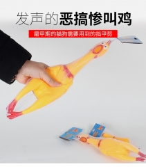 Pet toys, screaming chickens