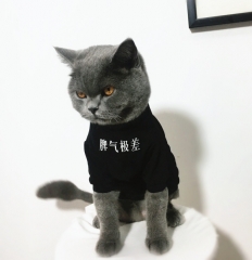 Pet clothing, creative temper is very bad Pet clothing, creative temper is very bad