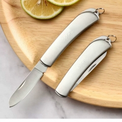 Home Fruit knife
