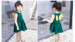 Girl Skirt Flower Wings Fashion Dress Princess Ski