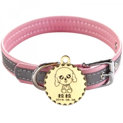 dog collar