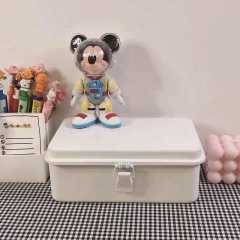 Ins white storage iron box