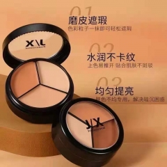 Liquid foundation