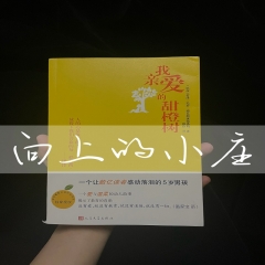 我亲爱的甜橙树