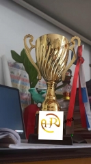 Lowest price Juvale Large Gold Trophy Cup for Spor