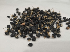 Black wolfberry