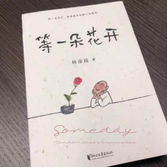 Waiting for a flower to bloom